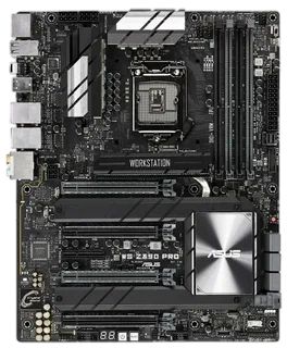 P10S-M WS